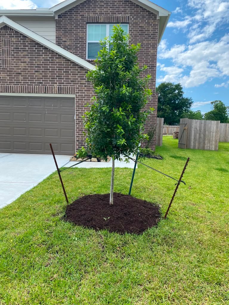 Finished plant, flower and tree planting project by Rainlandscaping